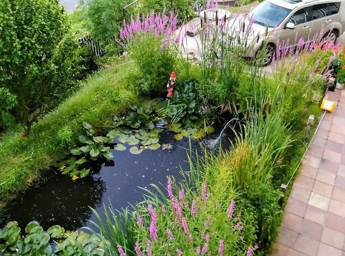 Lida Apartman Srbsko